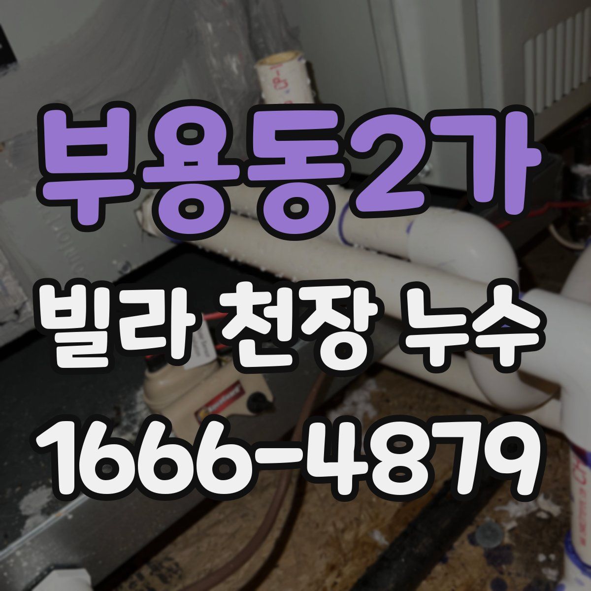 부용동2가 빌라 천장 누수