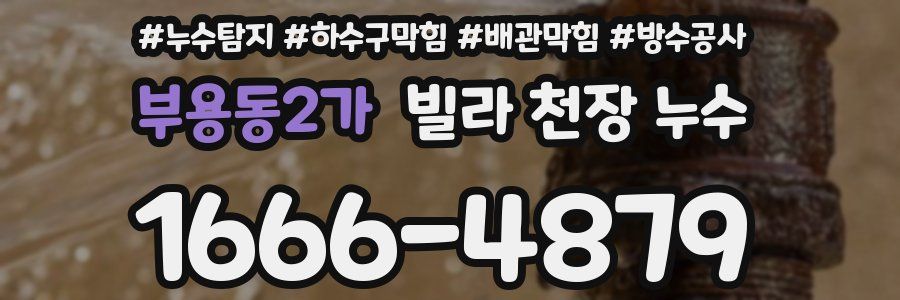 부용동2가 빌라 천장 누수