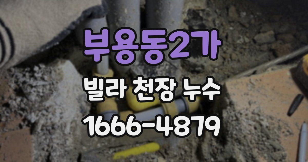 부용동2가 빌라 천장 누수