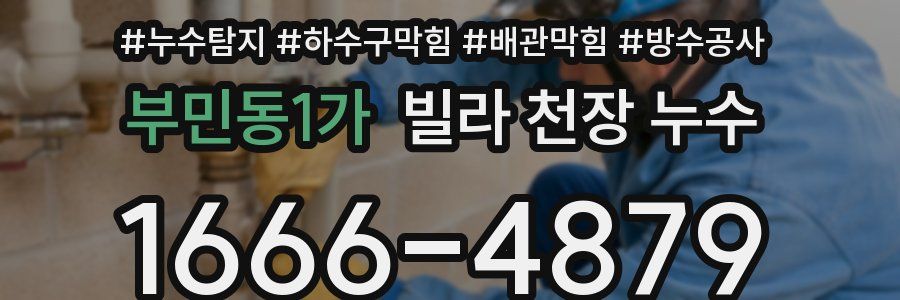 부민동1가 빌라 천장 누수