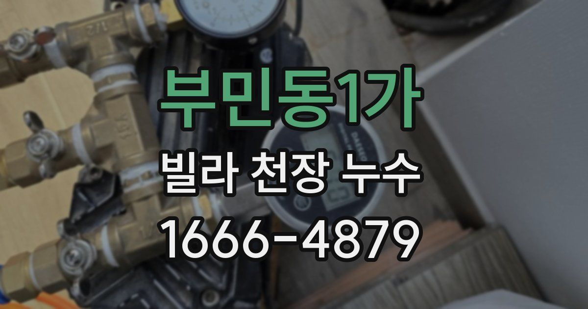 부민동1가 빌라 천장 누수