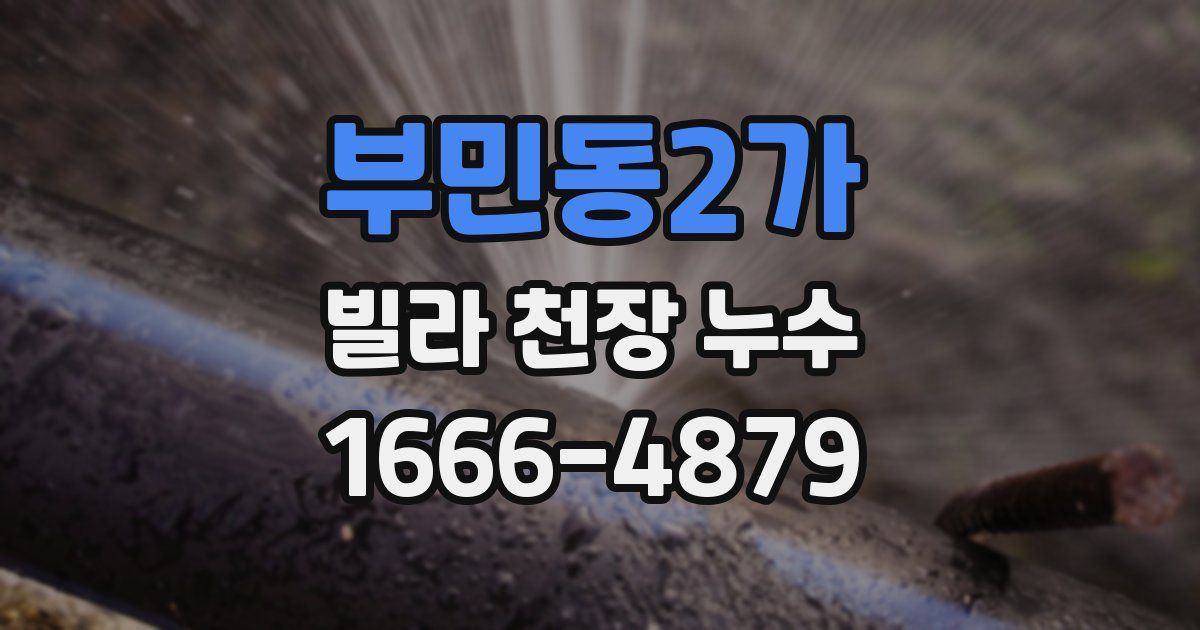 부민동2가 빌라 천장 누수
