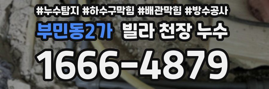 부민동2가 빌라 천장 누수