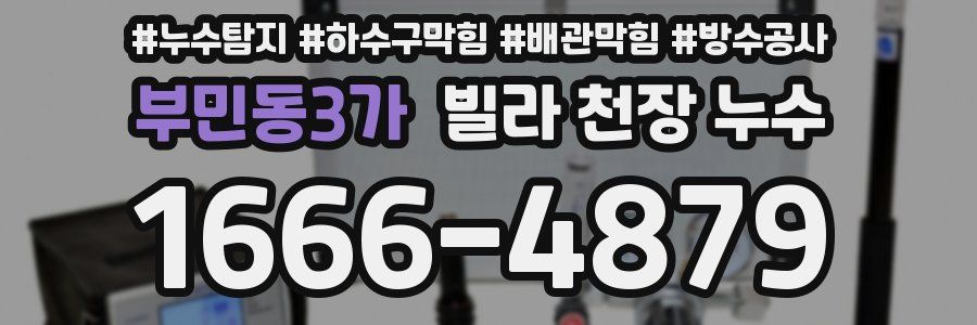 부민동3가 빌라 천장 누수