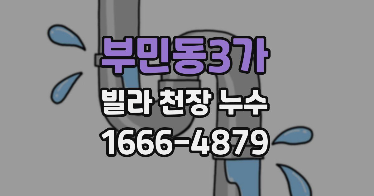 부민동3가 빌라 천장 누수