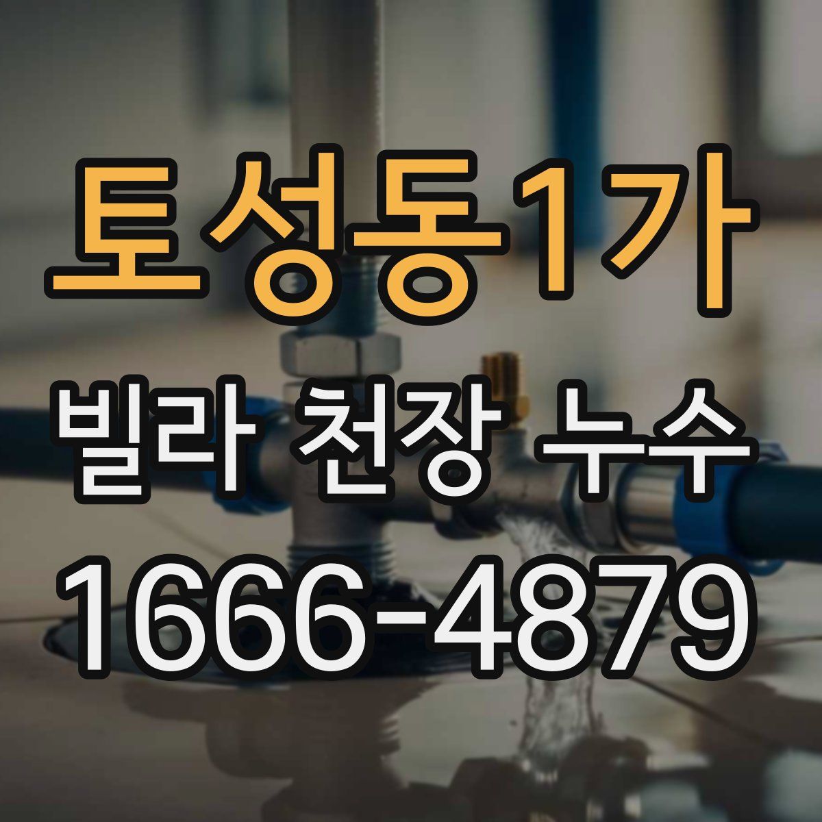 토성동1가 빌라 천장 누수