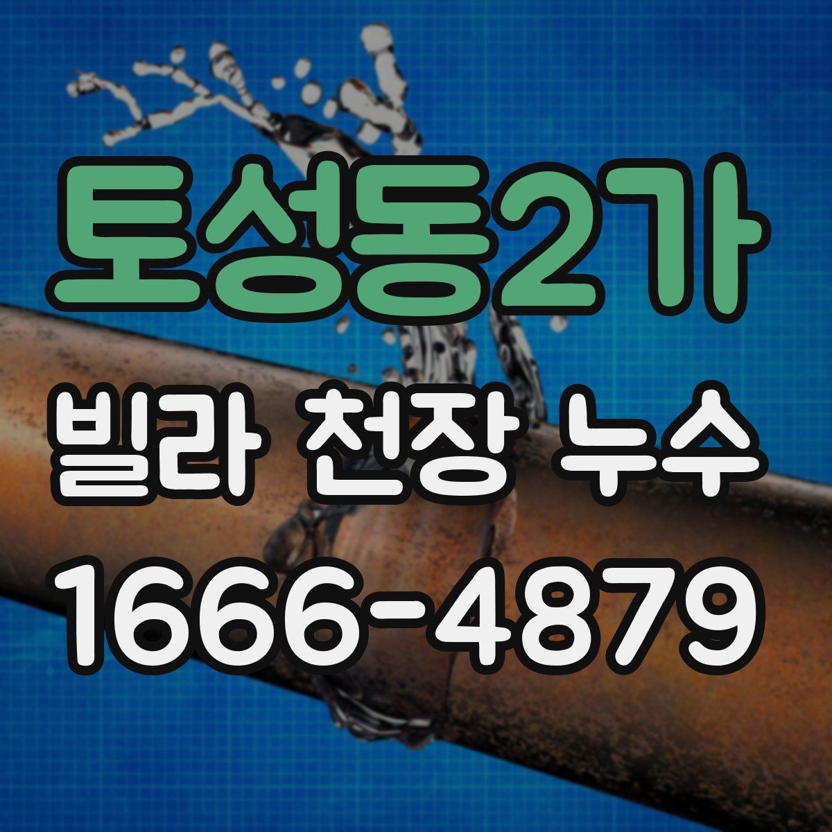 토성동2가 빌라 천장 누수