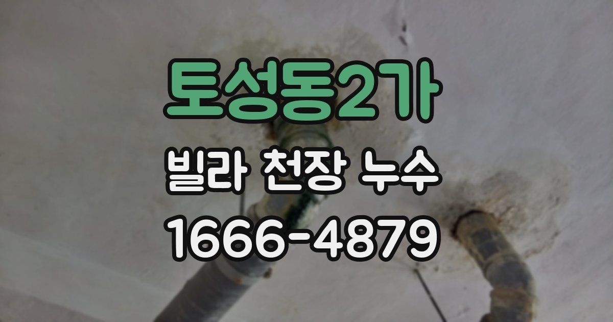 토성동2가 빌라 천장 누수