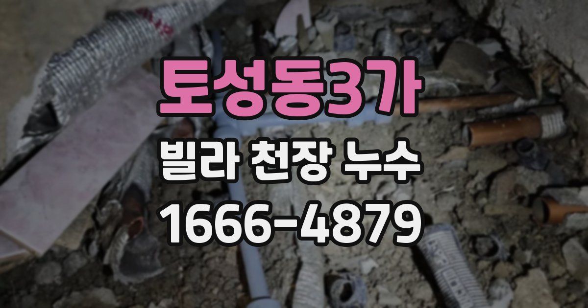 토성동3가 빌라 천장 누수