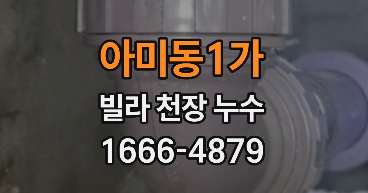 아미동1가 빌라 천장 누수