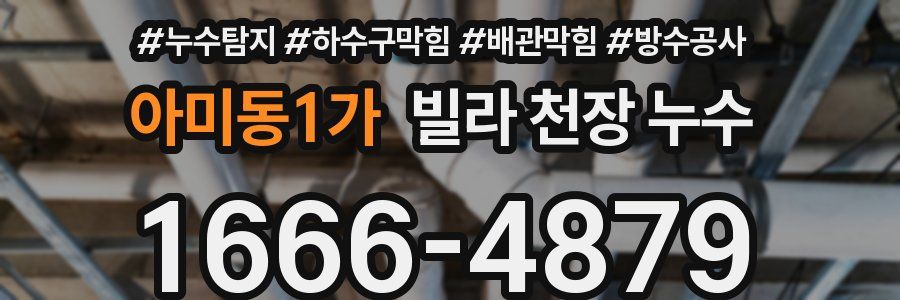 아미동1가 빌라 천장 누수