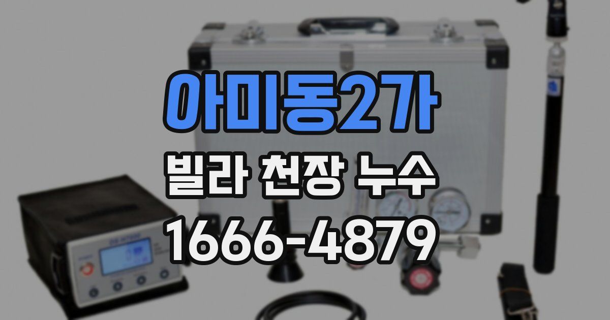 아미동2가 빌라 천장 누수
