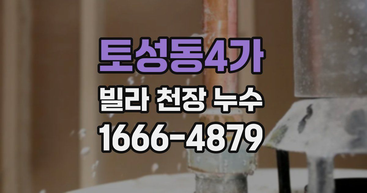 토성동4가 빌라 천장 누수