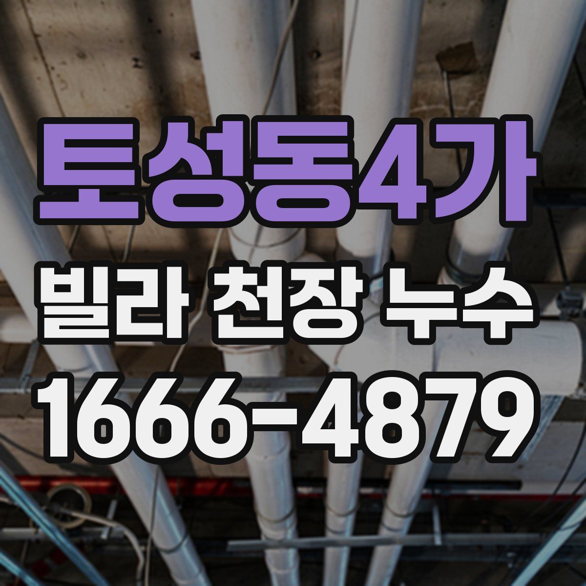 토성동4가 빌라 천장 누수