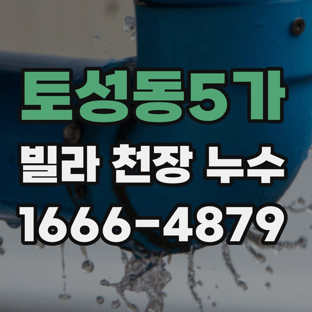 토성동5가 빌라 천장 누수