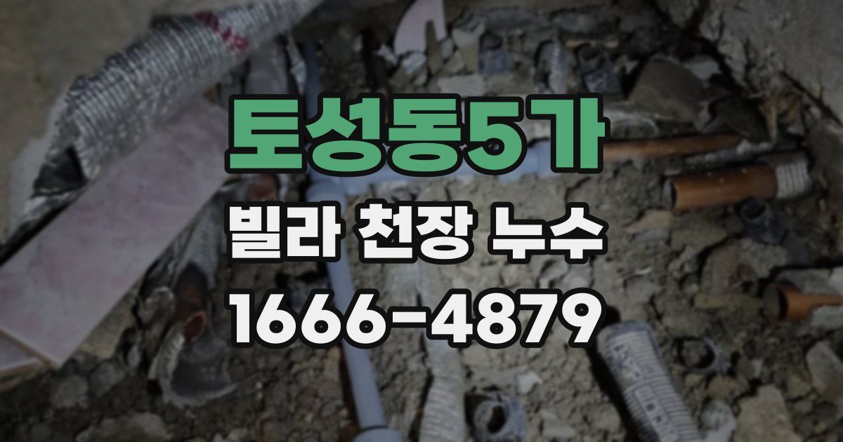 토성동5가 빌라 천장 누수