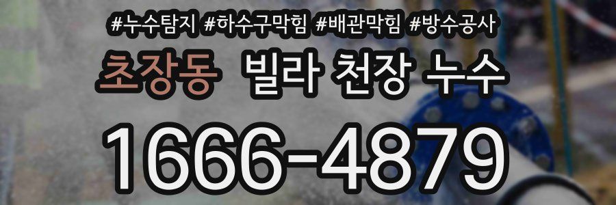 초장동 빌라 천장 누수