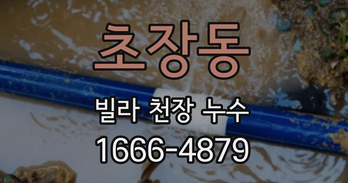 초장동 빌라 천장 누수