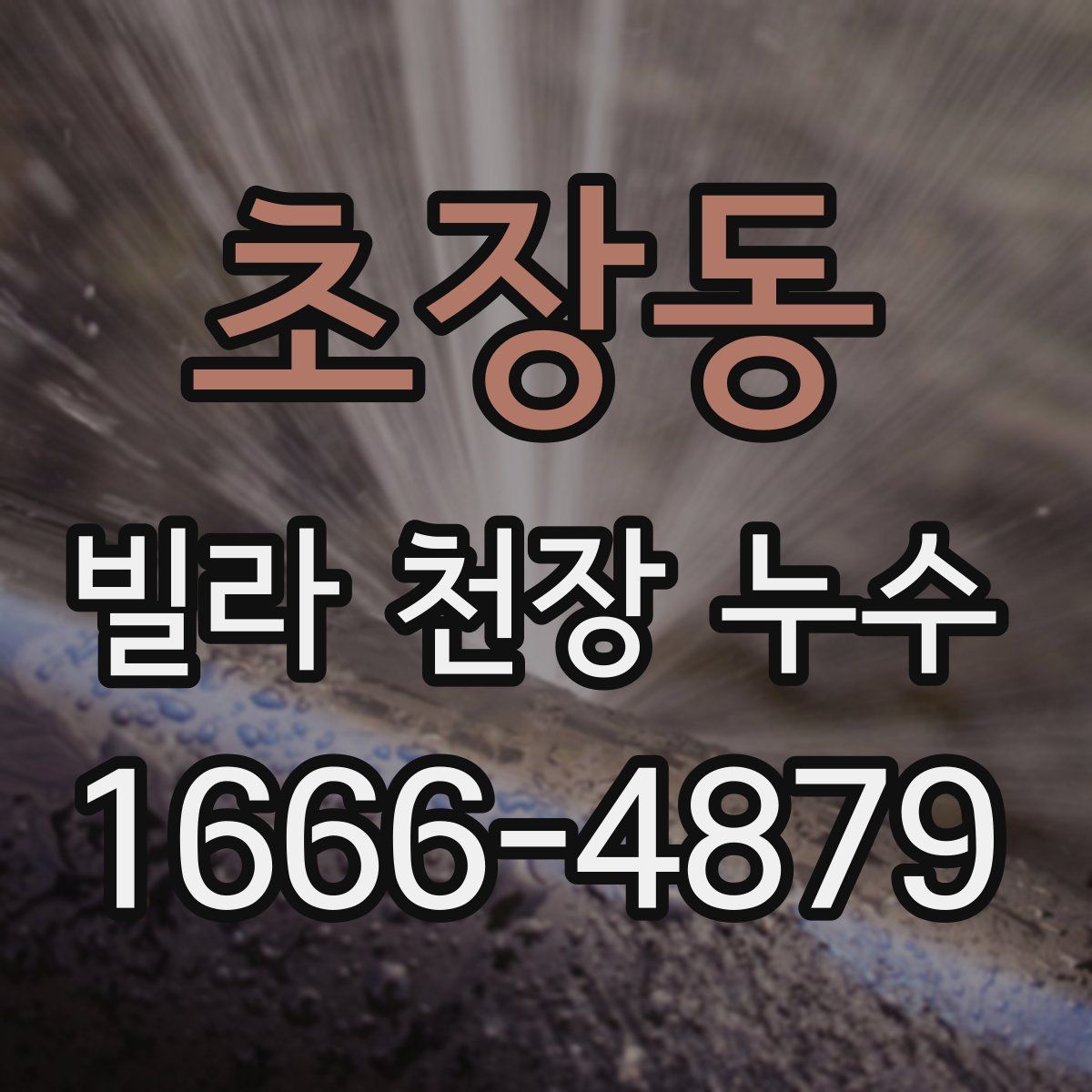 초장동 빌라 천장 누수