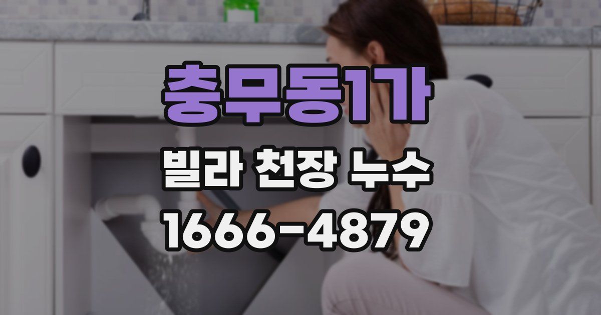 충무동1가 빌라 천장 누수