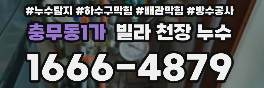 충무동1가 빌라 천장 누수