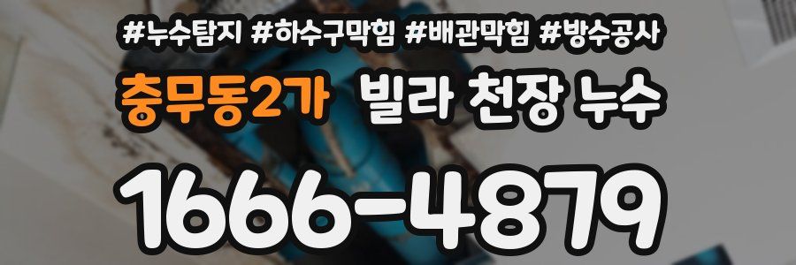 충무동2가 빌라 천장 누수