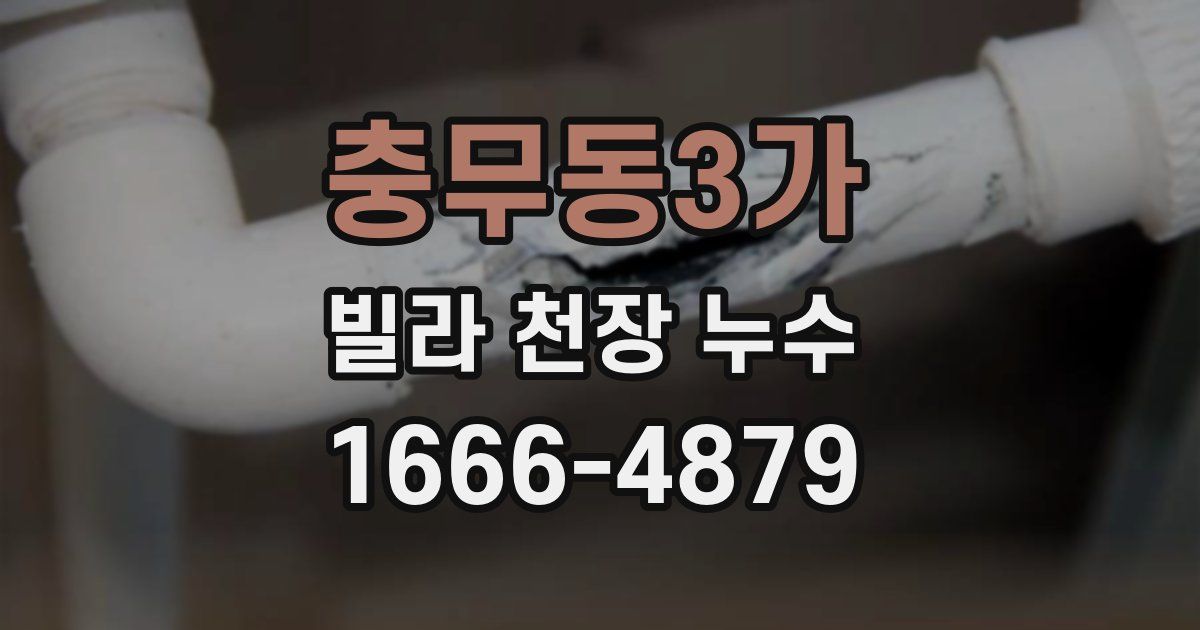 충무동3가 빌라 천장 누수