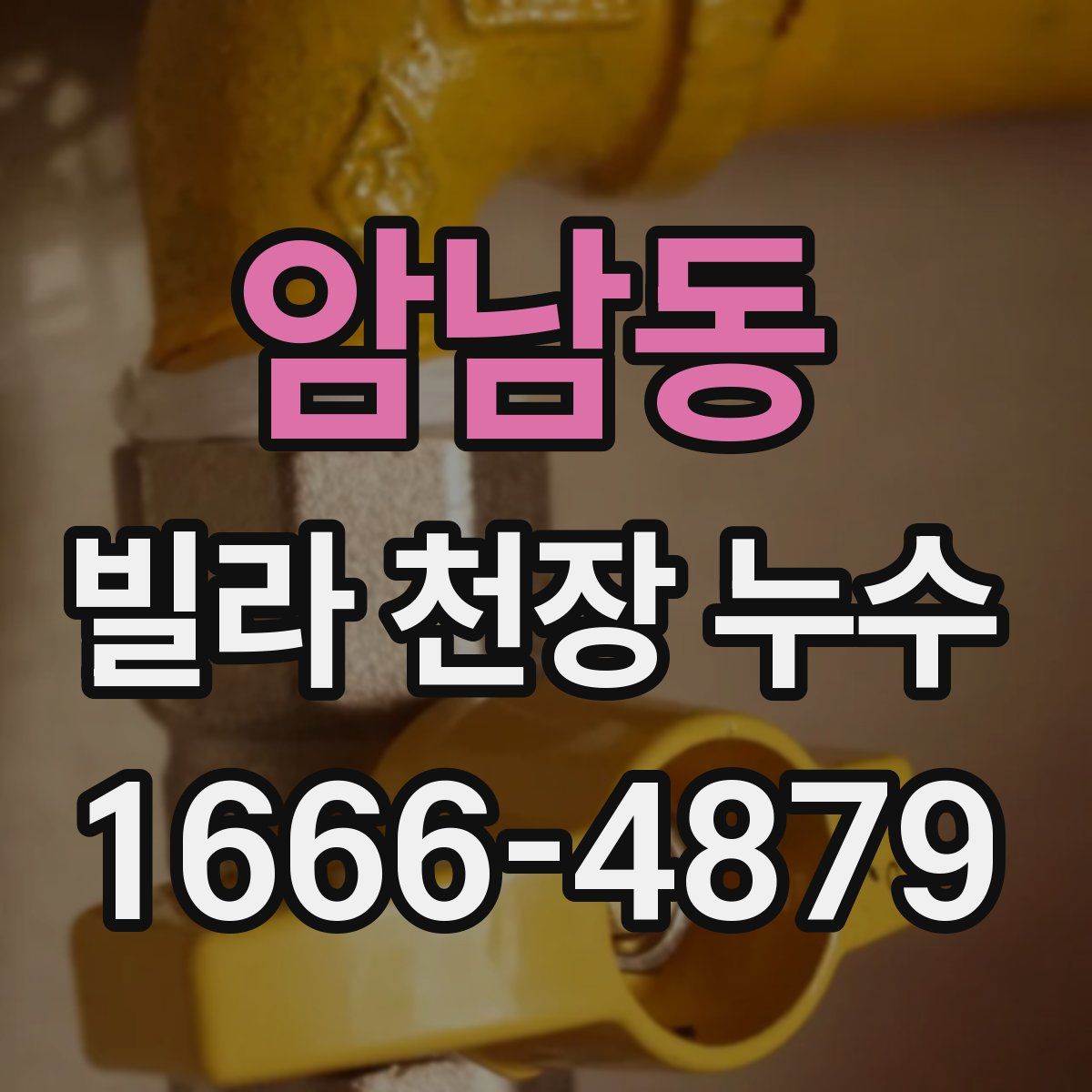 암남동 빌라 천장 누수