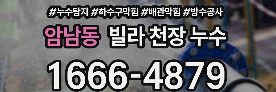 암남동 빌라 천장 누수