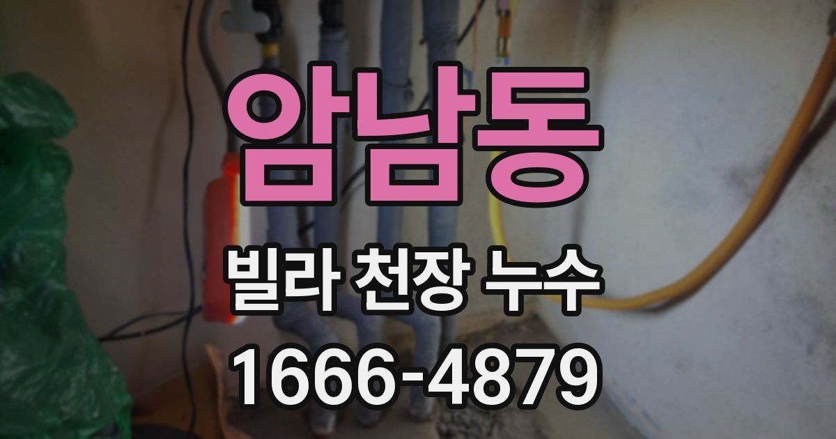 암남동 빌라 천장 누수