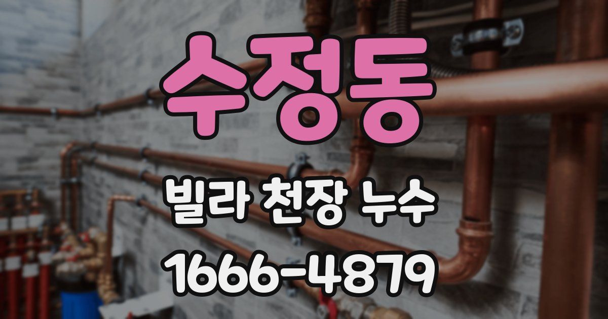 수정동 빌라 천장 누수