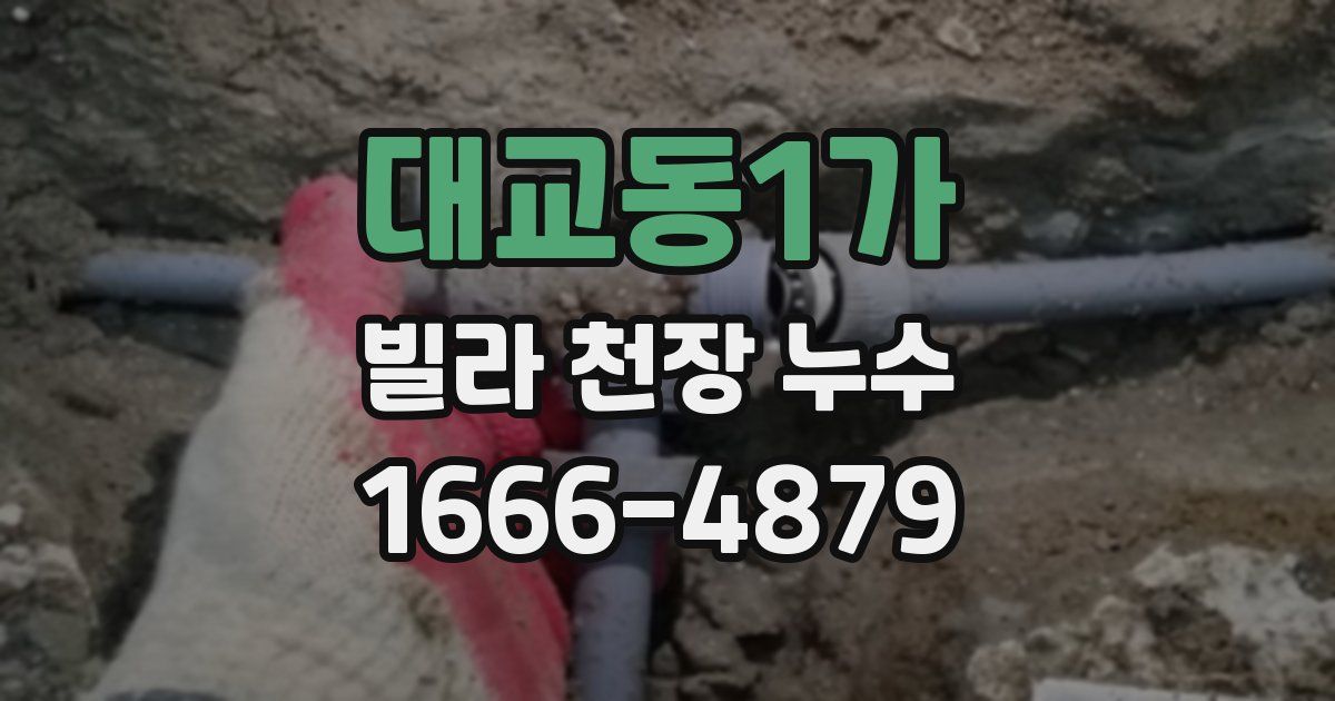 대교동1가 빌라 천장 누수
