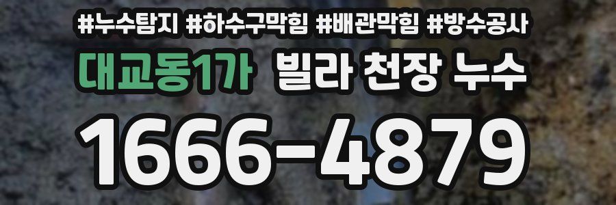 대교동1가 빌라 천장 누수