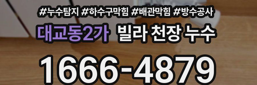 대교동2가 빌라 천장 누수