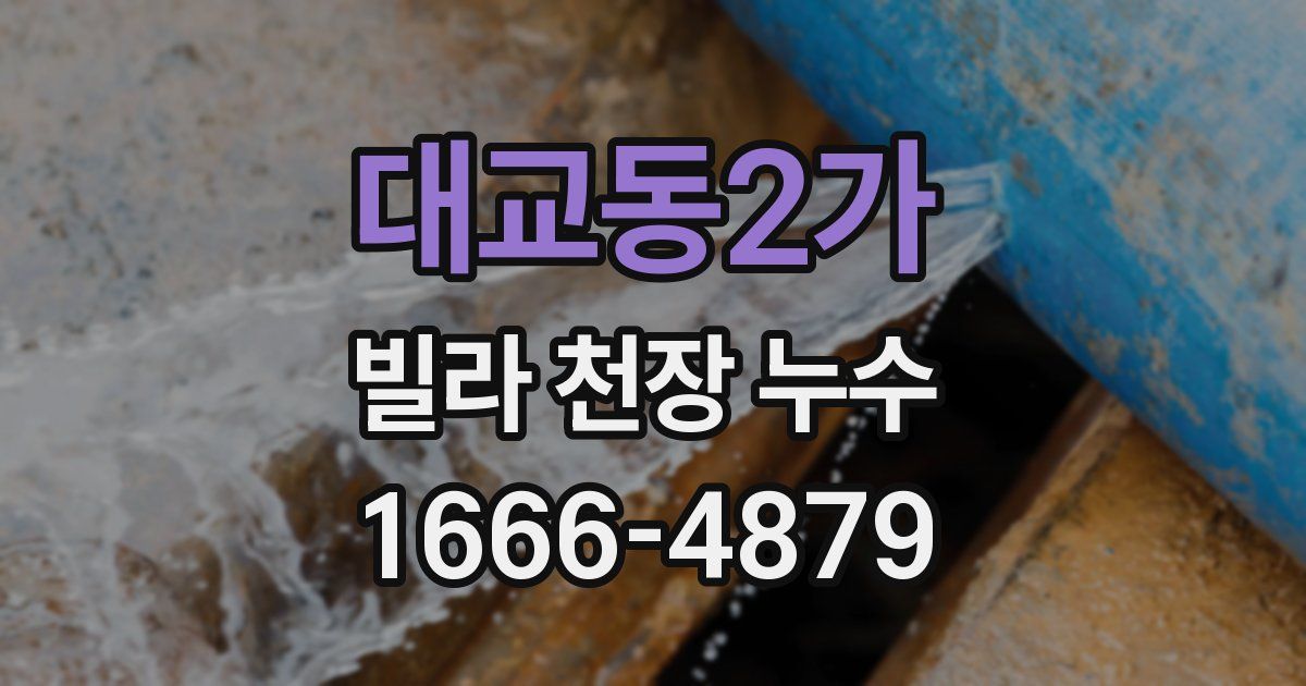 대교동2가 빌라 천장 누수