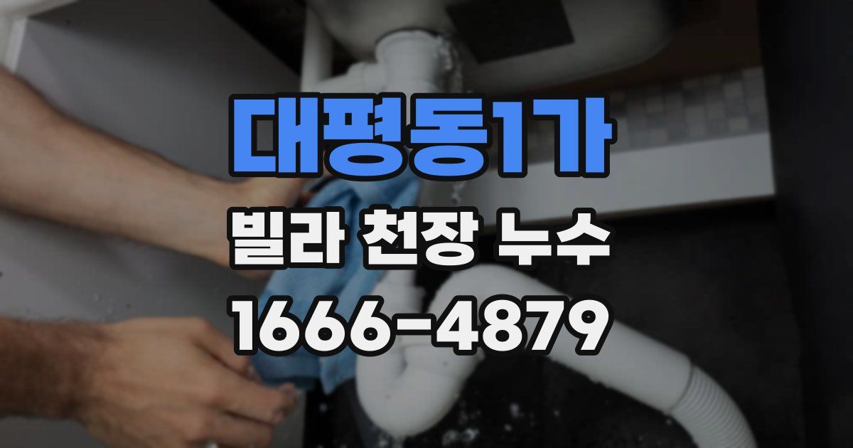 대평동1가 빌라 천장 누수