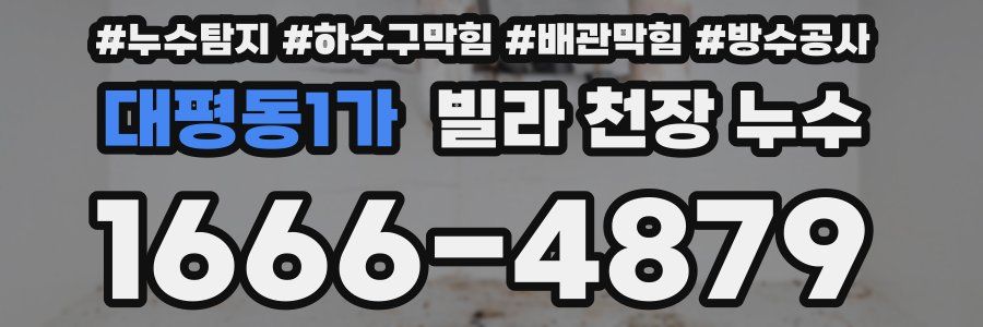 대평동1가 빌라 천장 누수