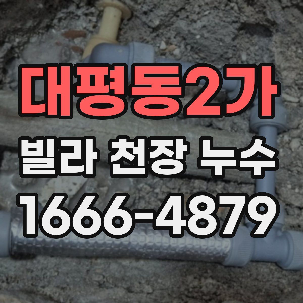 대평동2가 빌라 천장 누수