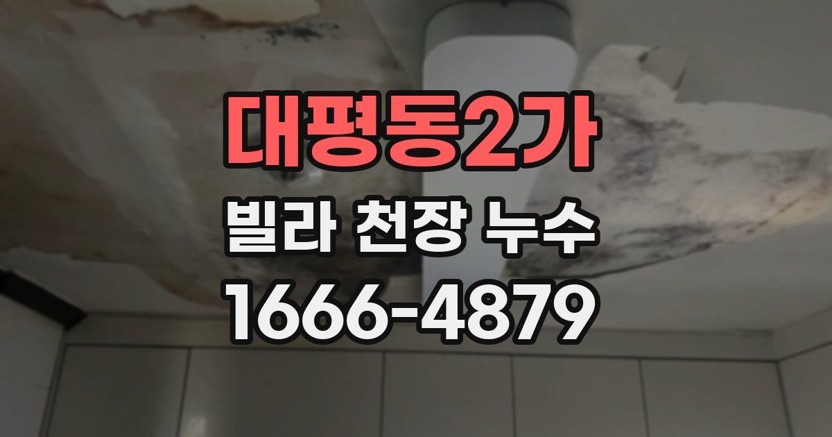 대평동2가 빌라 천장 누수