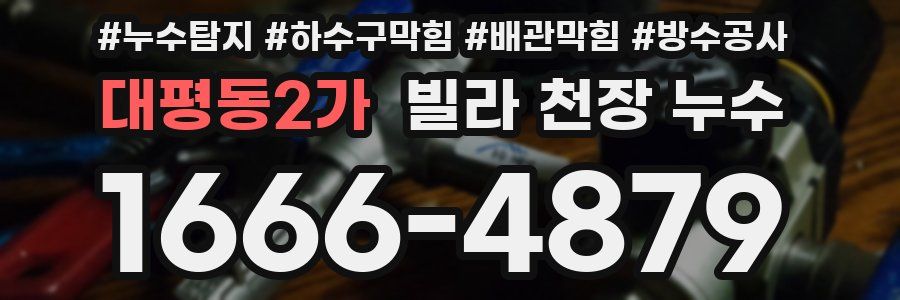 대평동2가 빌라 천장 누수