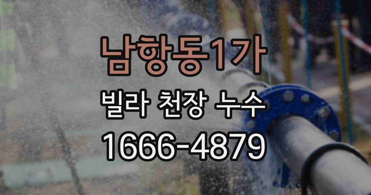 남항동1가 빌라 천장 누수
