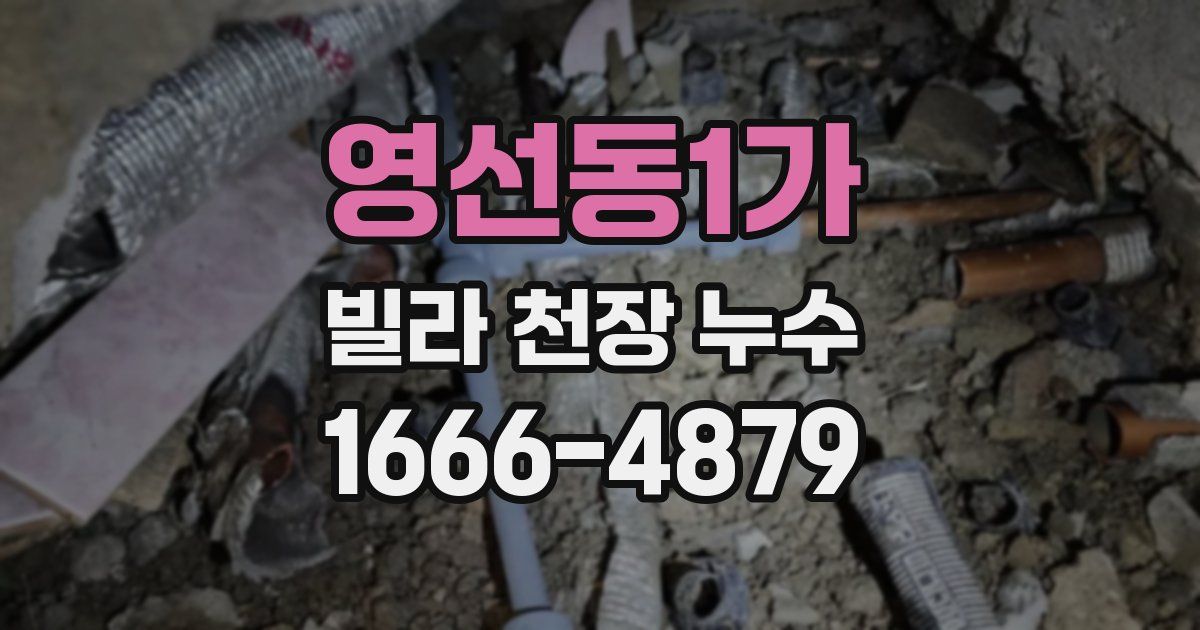 영선동1가 빌라 천장 누수