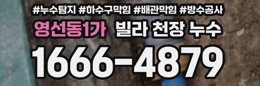 영선동1가 빌라 천장 누수