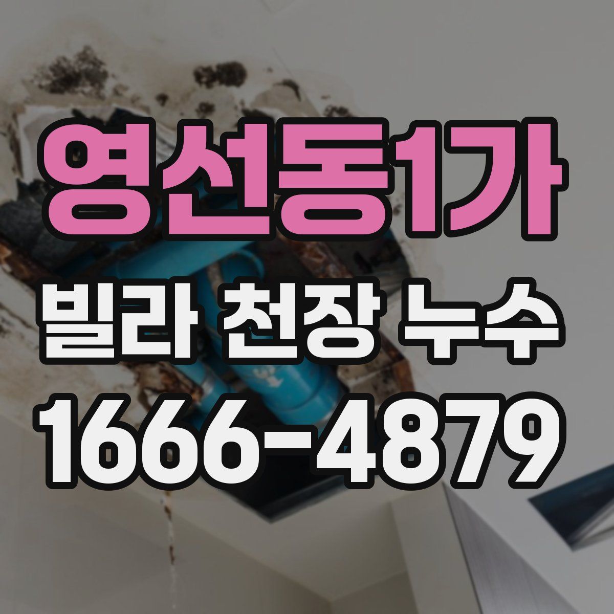 영선동1가 빌라 천장 누수