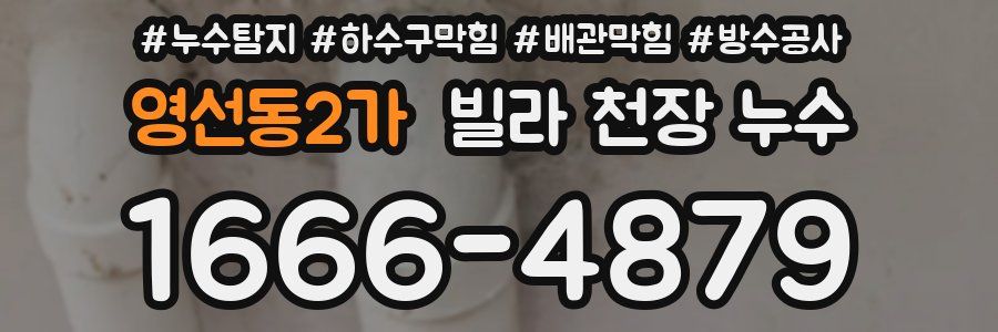영선동2가 빌라 천장 누수