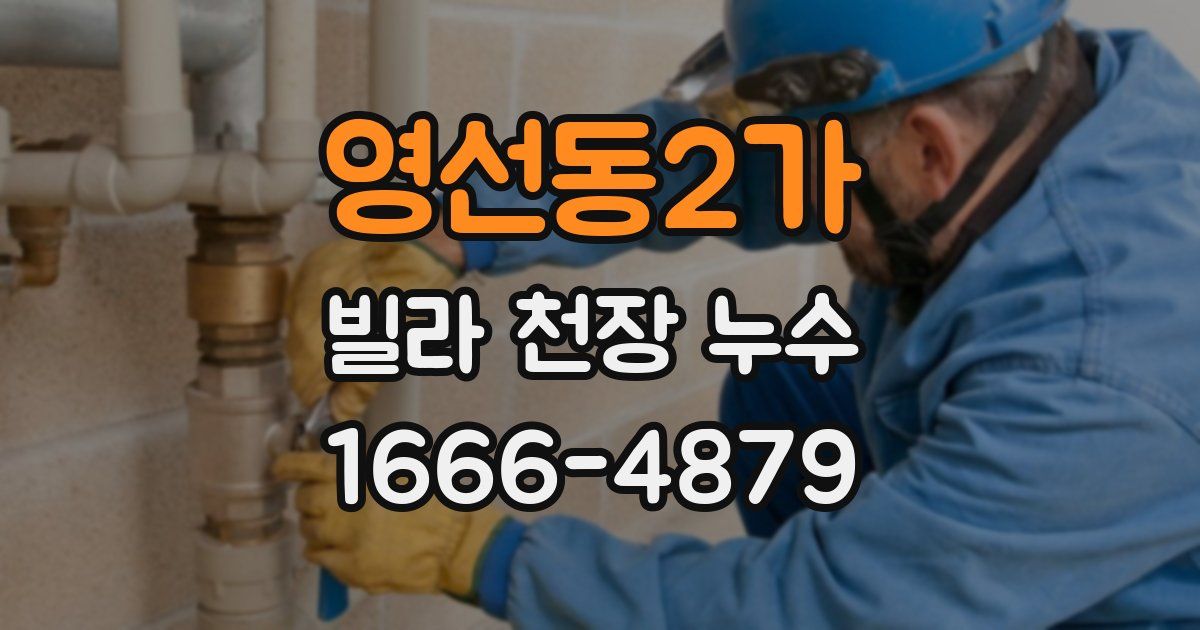 영선동2가 빌라 천장 누수