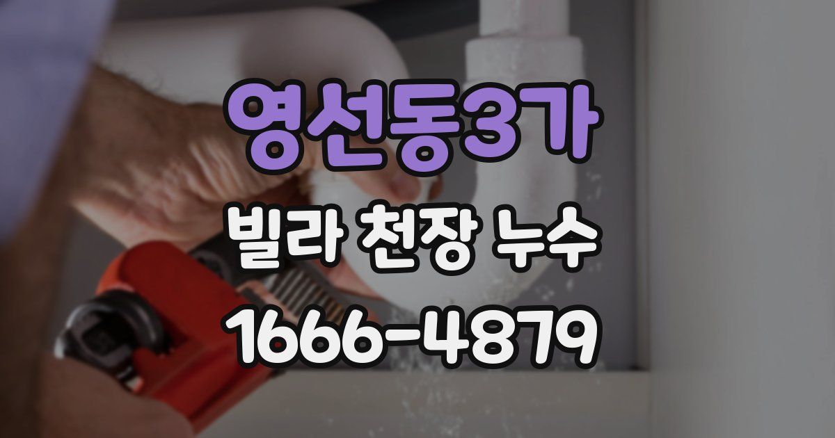 영선동3가 빌라 천장 누수