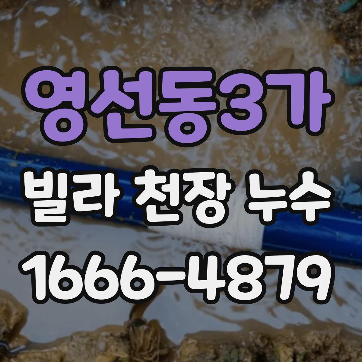 영선동3가 빌라 천장 누수