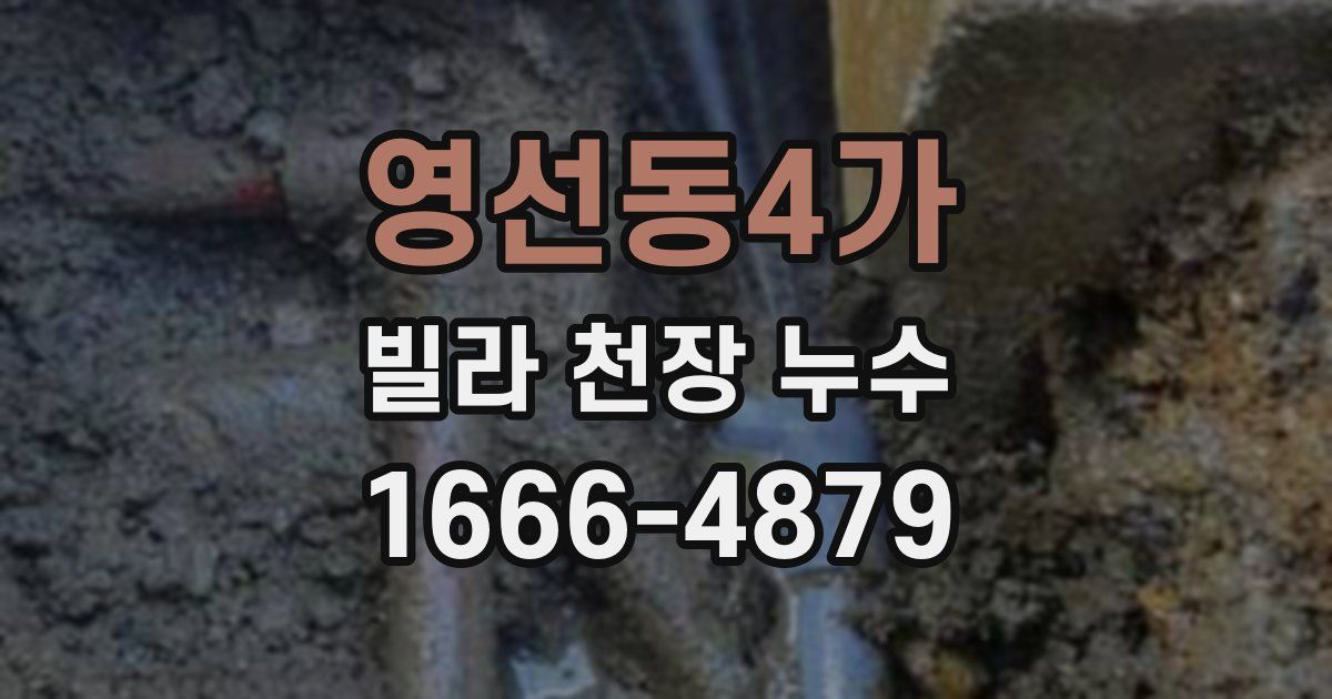 영선동4가 빌라 천장 누수