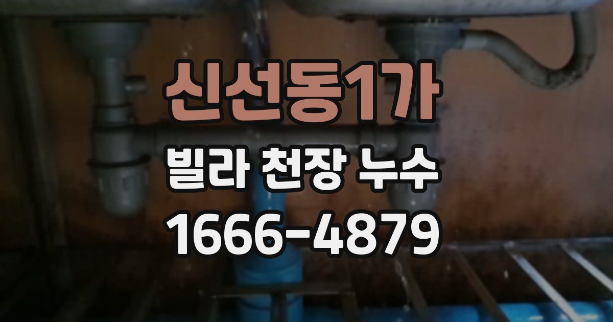 신선동1가 빌라 천장 누수